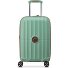  Carrousel 2 4 ruote Carrello della cabina 55 cm con piega di espansione Variante sage green