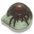  Velcro LED Variante spinne