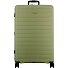  Striper 4 ruote Carrello 77 cm con piega di espansione Variante light green