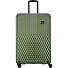 Flow 4 ruote Carrello L 75 cm con piega di espansione Variante bronze grün Flow 4 ruote Carrello L 75 cm con piega di espansione Variante bronze grün