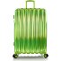  Astro 4 ruote Carrello L 76 cm con piega di espansione Variante green