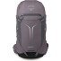  Sportlite 30 Zaino da trekking 60 cm Variante graphite purple