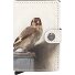 Art Custodia per carte di credito RFID in pelle 6 cm Variante art goldfinch Art Custodia per carte di credito RFID in pelle 6 cm Variante art goldfinch