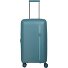  Roomer 4 ruote Carrello 66 cm Variante aqua