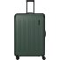  Dynamiic 4 ruote Carrello XL 81 cm Variante grün