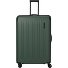 Dynamiic 4 ruote Carrello XL 81 cm Variante grün Dynamiic 4 ruote Carrello XL 81 cm Variante grün
