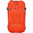  Alpspitze Zaino da trekking 58 cm Variante wild brier