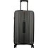Vanguard 4 ruote Carrello 70 cm Variante dark grey Vanguard 4 ruote Carrello 70 cm Variante dark grey