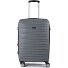  5493 4 ruote Carrello M 66 cm con piega di espansione Variante grau