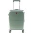  3500 4 ruote Carrello della cabina 55 cm con piega di espansione Variante jade green