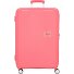  Soundbox 4 ruote Carrello 77 cm espandibile Variante sun kissed coral