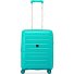  Starlight 3.0 4 ruote Carrello della cabina 55 cm con piega di espansione Variante mint green