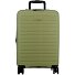  Striper 4 ruote Carrello della cabina 55 cm con piega di espansione Variante light green