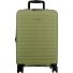  Striper 4 ruote Carrello della cabina 55 cm con piega di espansione Variante light green
