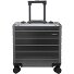  Gravity 4 ruote Carrello pilota 44 cm Scomparto per laptop Variante grau