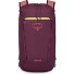  Daylite 0 Zaino da giorno 41 cm Variante moody burgundy