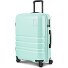  Pro ABS 4 ruote Carrello 65 cm espandibile Variante mint