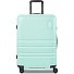  Pro ABS 4 ruote Carrello 65 cm espandibile Variante mint