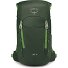  Jet 18 Zaino da trekking 46 cm Variante green canopy-limeline green
