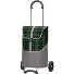  Scala Shopper Gese Carrello della spesa 59 cm Variante grün