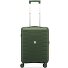 Skyline 2.0 Neon 4 ruote Carrello della cabina 55 cm Variante militärisch Skyline 2.0 Neon 4 ruote Carrello della cabina 55 cm Variante militärisch