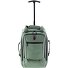  3900 2 ruote Zaino trolley 40 cm Scomparto per laptop Variante green