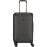  Wilder 4 ruote Carrello 64 cm con piega di espansione Variante charcoal