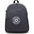  Curtis Zaino da giorno L 43 cm Vano porta PC Variante moonlit grey c