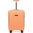  Phantom SL Carrello cabina a 4 ruote 55 cm Variante twisted melon