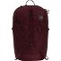  Borealis Zaino da trekking 48 cm Variante deep burgundy