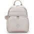  Basic Plus Zaino da giorno 40 cm Vano porta PC Variante metallic glow