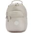  Basic Plus Seoul S Zaino 35 cm scomparto per laptop Variante metallic glow