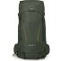  Kestrel 38 Zaino da trekking L-XL 78 cm Variante bonsai green