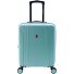 2900 4 ruote Carrello della cabina 55 cm con piega di espansione Variante green 2900 4 ruote Carrello della cabina 55 cm con piega di espansione Variante green