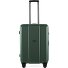  Pop 6.0 4 ruote Carrello 65 cm Variante gardengreen