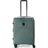  Radar 4 ruote Carrello 65 cm con piega di espansione Variante verde