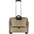  2 ruote Carrello business 41 cm Scomparto per laptop Variante champagner