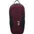 Velocity Lite Zaino da trekking 41 cm Variante amaranth
