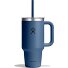  Tumblers Tazza per bere 946 ml Variante harbor blue