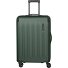 Dynamiic 4 ruote Carrello 66 cm con piega di espansione Variante grün Dynamiic 4 ruote Carrello 66 cm con piega di espansione Variante grün