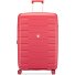  Skyline 2.0 4 ruote Carrello 79 cm espandibile Variante koralle