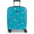  Acqua 4 ruote Carrello della cabina 55 cm Variante turquesa