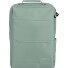 Workfloow Zaino da giorno 41 cm Scomparto per laptop Variante salbei