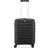  B-Flying Neon 4 ruote Carrello della cabina 55 cm Variante nero