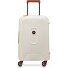  Moncey 4 ruote Trolley cabina 55 cm Variante angora