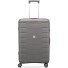  Skyline 2.0 Neon 4 ruote Carrello 70 cm Variante grau
