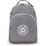 Center Curtis Zaino da giorno 43 cm Scomparto per laptop Variante inviting grey c Center Curtis Zaino da giorno 43 cm Scomparto per laptop Variante inviting grey c