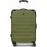  Amplar Evo 4 ruote Carrello M 65 cm espandibile Variante olive