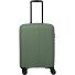 Air Stripe 4 ruote Carrello della cabina S 55 cm Variante green