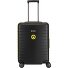  Litron Frame BVB 4 ruote Carrello della cabina 55 cm Variante schwarz-gelb